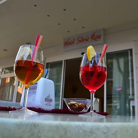 Silvie Rose Szálloda Cesenatico